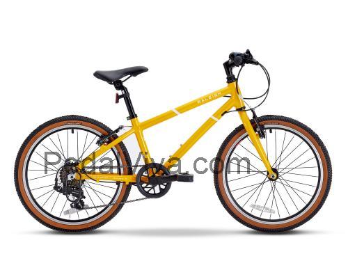 Raleigh Pop 20 ficha tecnica